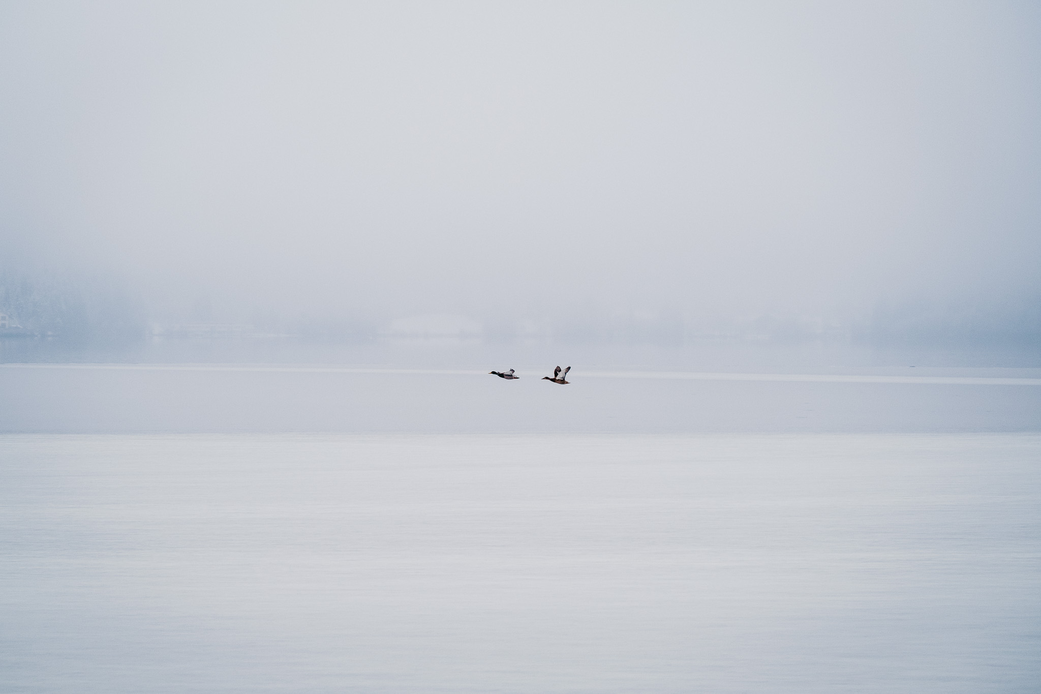 ILLUSTRATIONSXGE26©️CamilleFermon_3345