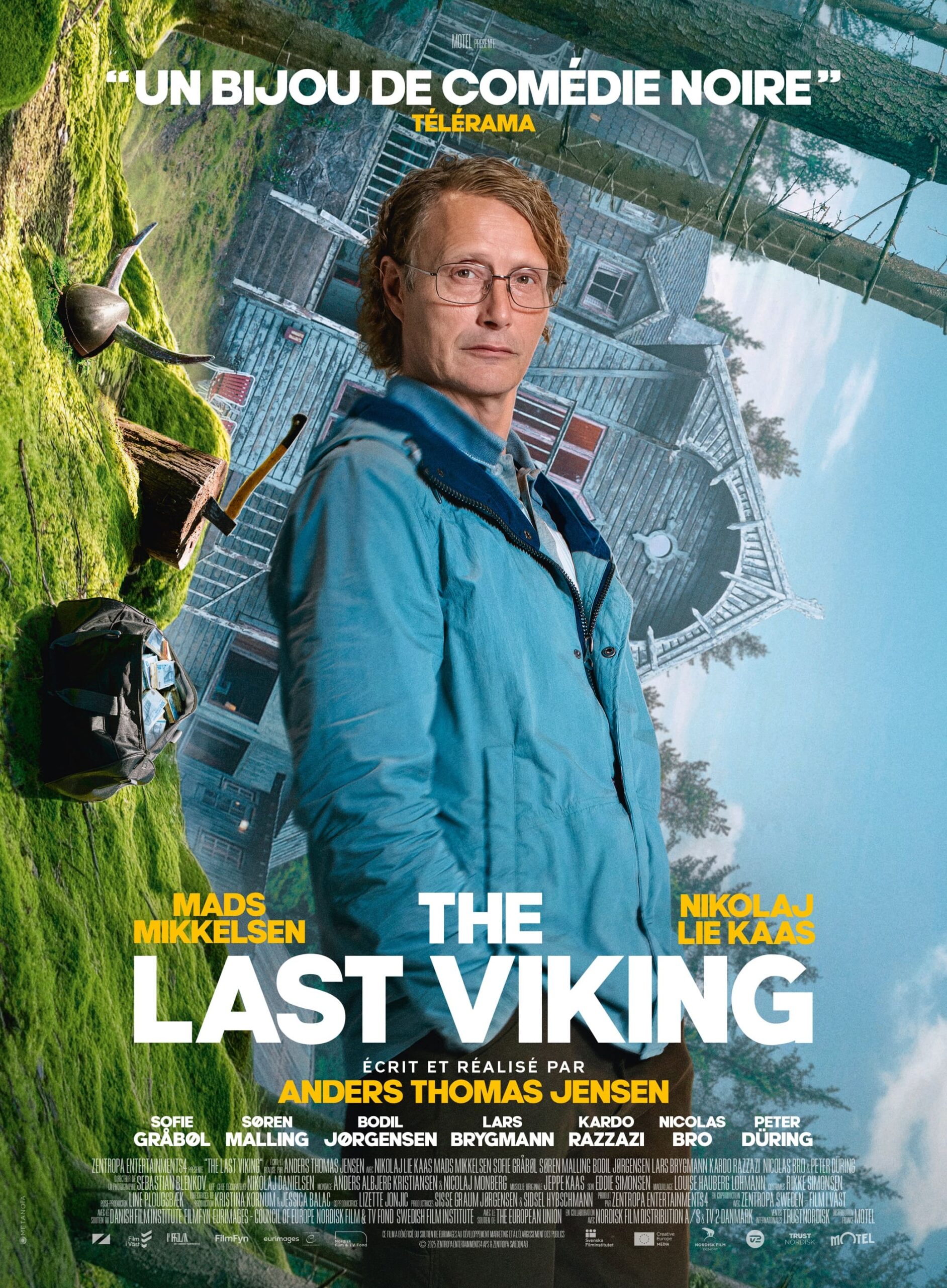 Affiche_THE LAST VIKING